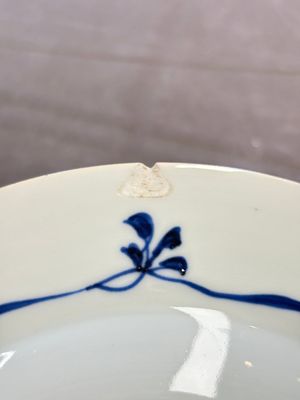 12 Chinese blue and white plates with figural and floral design, 18th C. — 照片 13