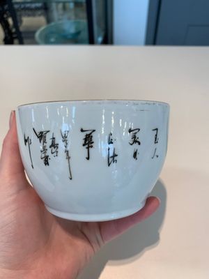 13 Chinese blue, white, famille rose, verte and qianjiang cai wares, 19/20th C. — photo 57