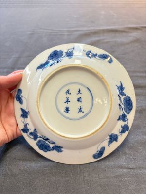 18 Chinese blue and white plates and saucers with floral design, 18th C. — 照片 28