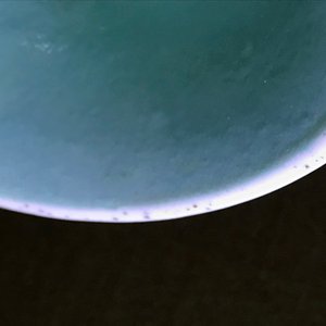 19-20世纪 珊瑚红粉彩花卉纹赏瓶  — 照片 9