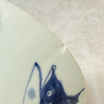A Chinese blue and white 'Pikes' bowl — photo 9