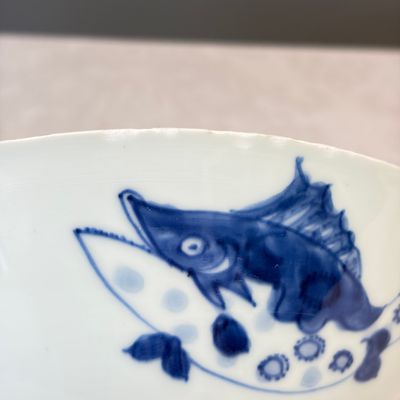 A Chinese blue and white 'Pikes' bowl — photo 10