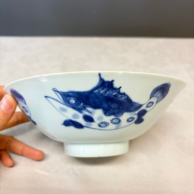A Chinese blue and white 'Pikes' bowl — photo 3