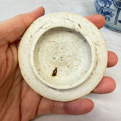 A Chinese blue and white 'Buddhist Lion' wine pot and cover — photo 26