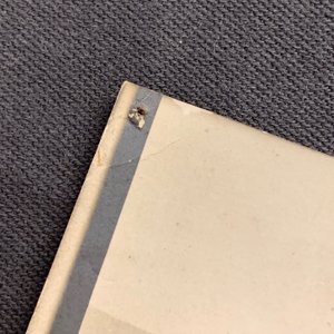 48 black and white photos with Chinese scenes, 19/20th C. — 照片 19