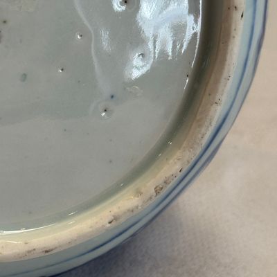 A Chinese blue and white 'Bird among Flowering Branches' bottle vase — photo 14