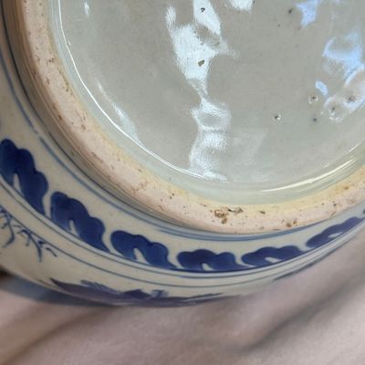 A Chinese blue and white 'Birds Among Flowers' vase — photo 19