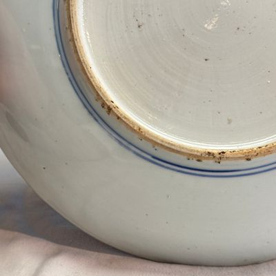 A  Chinese blue and white 'Birds among Blossoms' dish — photo 11