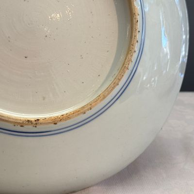 A  Chinese blue and white 'Birds among Blossoms' dish — photo 14