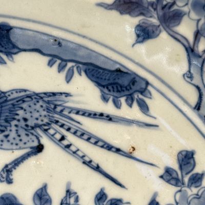 A  Chinese blue and white 'Birds among Blossoms' dish — photo 6