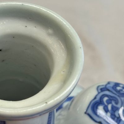 A Chinese blue and white 'Birds among Flowering Branches' kendi — photo 8