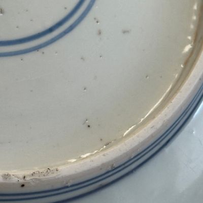 A Chinese blue and white 'Cranes and Flying Horses' dish — foto 20