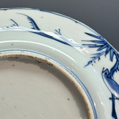 A Chinese blue and white 'Fish and Butterflies' plate — photo 13