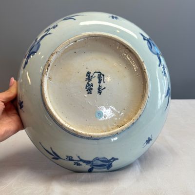 A Chinese blue and white 'Fish' dish — photo 7