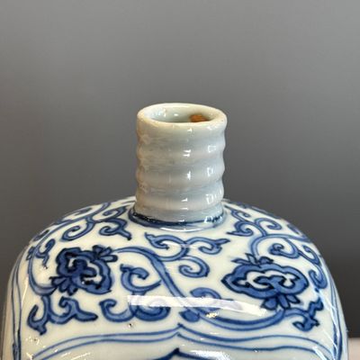 A Chinese blue and white 'Geese and Flowers' square flask — foto 6