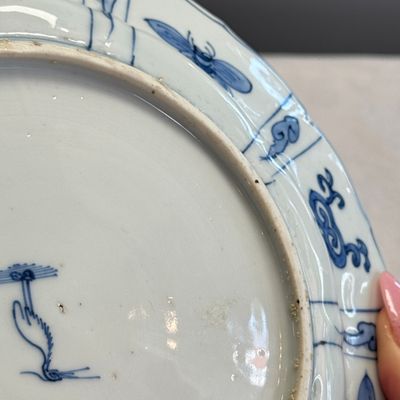 A Chinese blue and white 'Grasshopper and Butterfly' plate — 照片 20