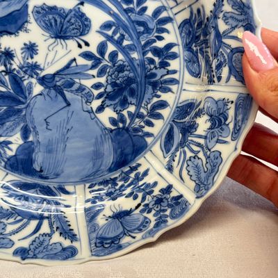 A Chinese blue and white 'Grasshopper and Butterfly' plate — 照片 5
