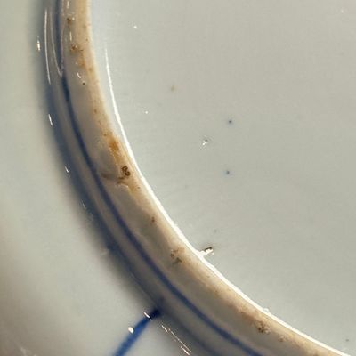 A Chinese blue and white 'Klapmuts' bowl with a bird of prey — photo 16