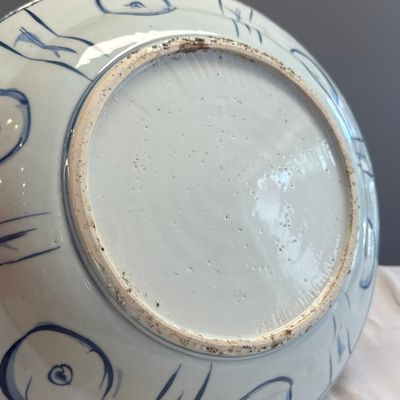 A Chinese blue and white 'Leaping Carp' dish — 照片 19