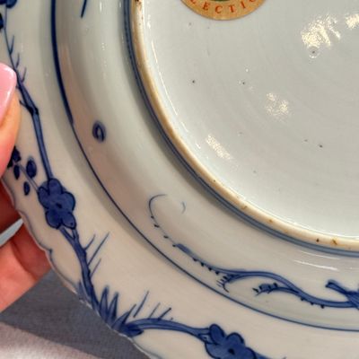 A Chinese blue and white 'Lizard' plate — foto 12