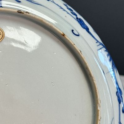 A Chinese blue and white 'Lizard' plate — foto 20