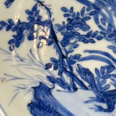 A Chinese blue and white 'Lizard' plate — foto 8