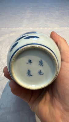 A Chinese blue and white 'Long Eliza' tea caddy and cover — foto 7