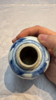 A Chinese blue and white 'Long Eliza' tea caddy and cover — foto 1