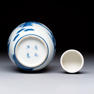A Chinese blue and white 'Long Eliza' tea caddy and cover — foto 6