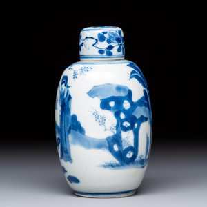 A Chinese blue and white 'Long Eliza' tea caddy and cover — foto 2
