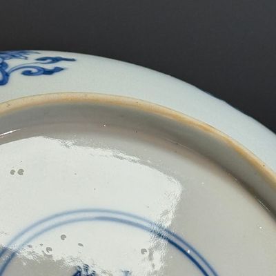 A Chinese blue and white 'Longevity 萬壽' plate — foto 17