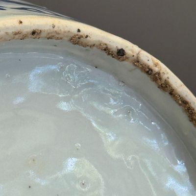 A Chinese blue and white 'Lotus Scroll' jar — photo 23