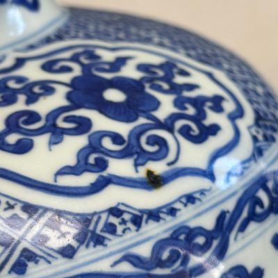 A Chinese blue and white 'Lotus Scroll' jar — photo 6