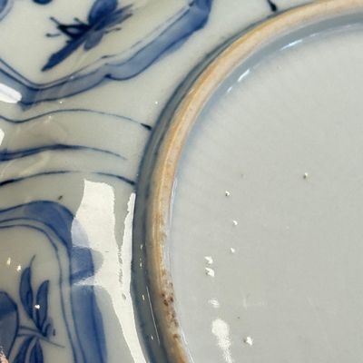 A Chinese blue and white 'Mandarin Duck' plate — 照片 17