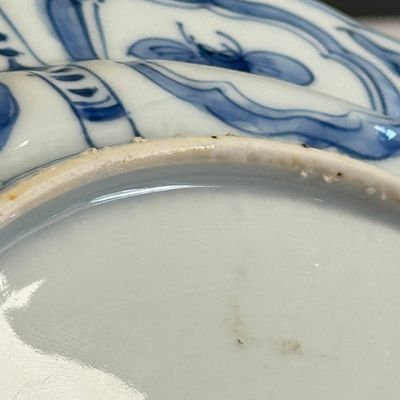 A Chinese blue and white 'Pheasants' plate — foto 17