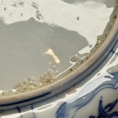 A Chinese blue and white 'Pheasants' plate — foto 19