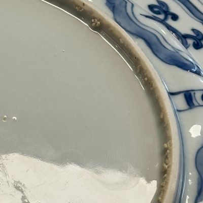 A Chinese blue and white 'Pheasants' plate — foto 20