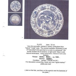 A Chinese blue and white 'Pheasants' plate — foto 4
