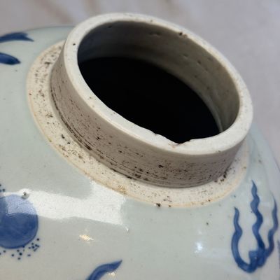 A Chinese blue and white 'Qilin, Phoenix and Magpie' jar — photo 11
