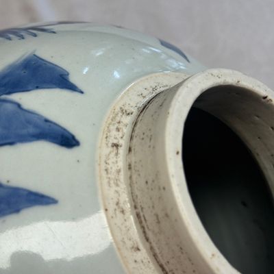 A Chinese blue and white 'Qilin, Phoenix and Magpie' jar — photo 13