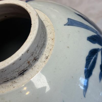 A Chinese blue and white 'Qilin, Phoenix and Magpie' jar — photo 14