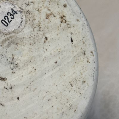 A Chinese blue and white 'Qilin, Phoenix and Magpie' jar — photo 19