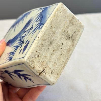 A Chinese blue and white 'Roosters' tea caddy — foto 13