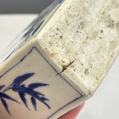 A Chinese blue and white 'Roosters' tea caddy — foto 14