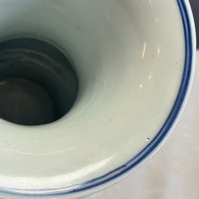 A Chinese blue and white 'Zun' vase with dragon and phoenix design — foto 15