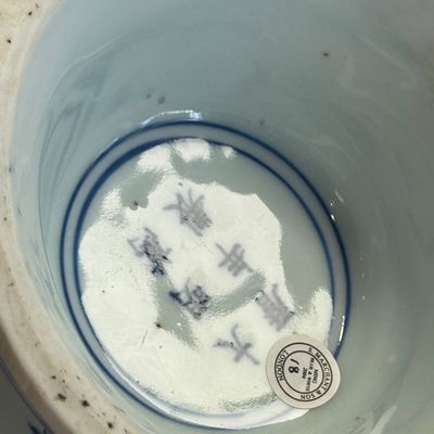 A Chinese blue and white 'Zun' vase with dragon and phoenix design — foto 21