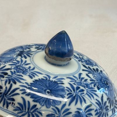 A Chinese blue and white beaker and cover with floral design — photo 28