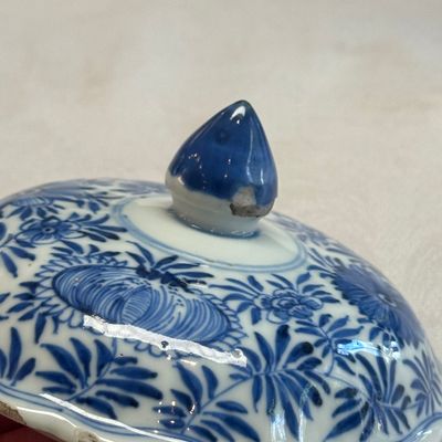 A Chinese blue and white beaker and cover with floral design — photo 29