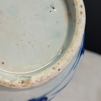 A Chinese blue and white garlic-mouth bottle vase — photo 22