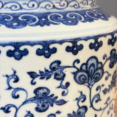 A Chinese blue and white 'lotus scroll' vase — 照片 11
